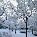 중산공원 이미지