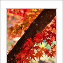 마곡사4 이미지