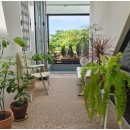 라파우자 이미지