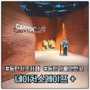 현대하이플러스 화장실 | [공지] 동탄 키즈카페 네이처스케이프 플러스 할인 주차 초등 고학년 후기