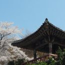 삼화목장 이미지