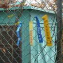 원창2리 이미지