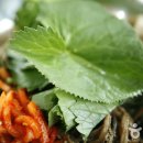 양구산채천국