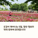 청보리축제장 | 지금 이 순간! 함안 청보리 작약 축제 실시간 개화 정보