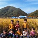 선리마을 이미지