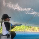 다온오토 이미지