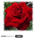 옥터농장 이미지