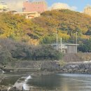 오리떼 편의점 이미지