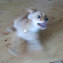 설빙 부천역점 이미지