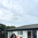 그루밍제주 | 제주 돌담집 감성숙소 연연풍진 후기｜고양이가 놀러오는 독채숙소