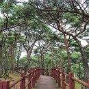 서포리관광지 이미지