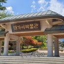 대가야유통 | 대가야박물관 가기 전 필독! 주차, 입장료, 관람 꿀팁 총정리 (지도 포함)