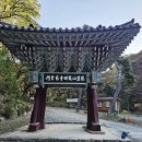 {대구시 달성군} 부처님 진신사리가 모셔져 있는 비슬산 용연사의 가을