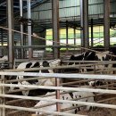 해돌목장 이미지