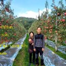 김옥순 농장 이미지