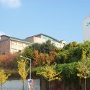 조원동-2 이미지