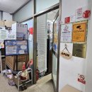 도마뱀집사TV | [김포 파충류샵] 도마뱀집사TV | 귀염둥이 펫테일게코 도마뱀 분양 받고 왔어요(입양기)