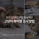 심동물병원