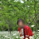 제주도 미니버스 렌트 비용이 궁금하다면? 40년 친구들과 다녀온 단체여행 후기