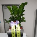 JJ모터스 2호점 네이버블로그