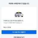 시크릿식육식당 | 3박 4일 무계획 제주 홀로 여행기 ④ - 자유의지2 제주혼술바, 올레시장, 1100고지, 에귤타르트, 용두네...