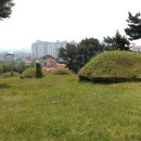 진주 정신중 묘역 이미지