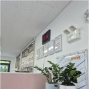 황금공인중개사사무소 | 화성 새솔동에서 만세구부동산 찾는 이유, 진짜 변화의 시작은 대방황금공인중개사사무소와 함께