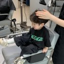 비요헤어