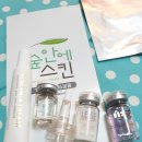 숲안에 스킨