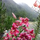 숲속의 샘물 캠핑장 이미지