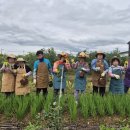 농업회사법인 (주)해우리팜1농장 | 기다림과 반복 속에서 가능성을 키워가는 곳, (주)팜앤그린 농업회사법인
