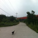 썬베네스트 이미지