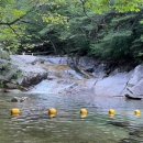 이모네 칼국수 이미지