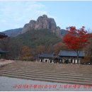 주왕산면사무소 이미지