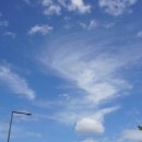 한솔뜰근린공원 이미지