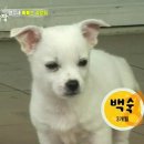지수농장 이미지