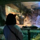 상남동174 이미지