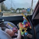 복상농장 이미지