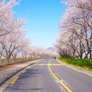 가곡강변로 이미지