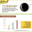 허브카페