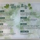 법원열무3호점 이미지