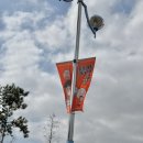 강서체육공원 보조경기장1층 | 부산강서체육공원 실내체육관 배구직관(스파이크존 1층 1-15구역 5열)