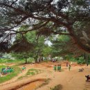 대정 헬스케어 이미지