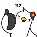 대평오리 이미지