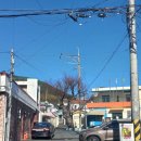 명정동사무소 이미지