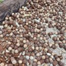 영문1리 이미지