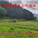 대동임업 - 1309 | 대동임업