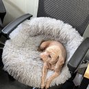 파주역 한식부페 | 파주역 한식뷔페 문산뷔페