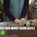꿈꾸다피아노
