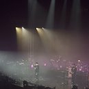 미세스도나 이미지
